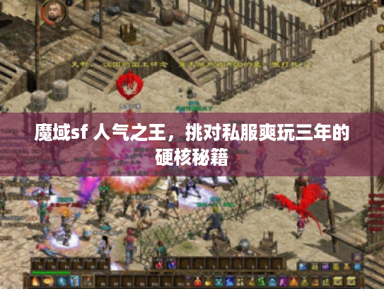 魔域sf 人气之王，挑对私服爽玩三年的硬核秘籍