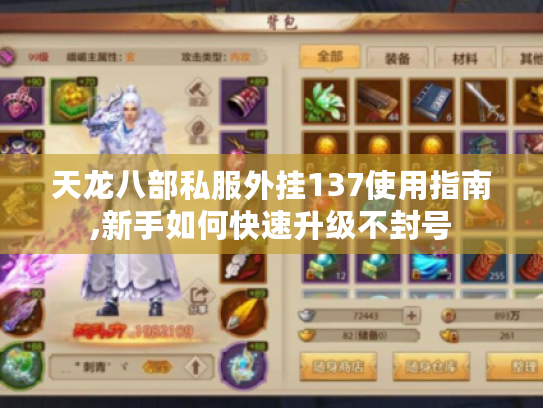 天龙八部私服外挂137使用指南,新手如何快速升级不封号