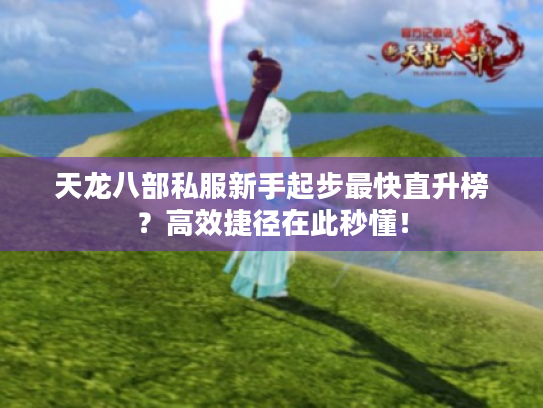 天龙八部私服新手起步最快直升榜？高效捷径在此秒懂！