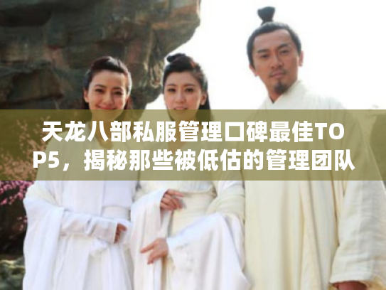 天龙八部私服管理口碑最佳TOP5，揭秘那些被低估的管理团队真相