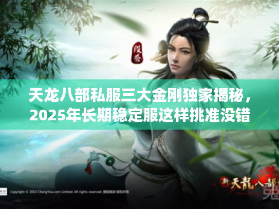 天龙八部私服三大金刚独家揭秘，2025年长期稳定服这样挑准没错