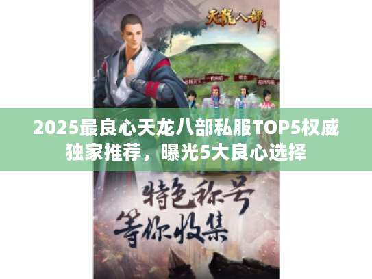 2025最良心天龙八部私服TOP5权威独家推荐，曝光5大良心选择