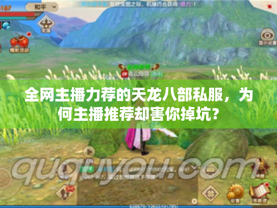 全网主播力荐的天龙八部私服,为何主播推荐却害你掉坑? 全网主播力荐的天龙八部私服,为何主播推荐却害你掉坑?