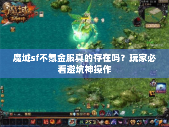 魔域sf不氪金服真的存在吗？玩家必看避坑神操作