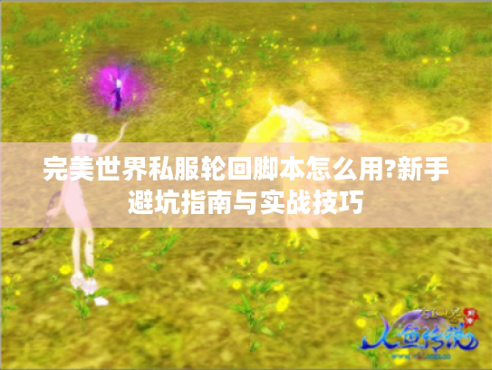 完美世界私服轮回脚本怎么用?新手避坑指南与实战技巧