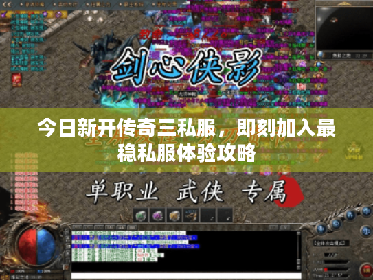 今日新开传奇三私服，即刻加入最稳私服体验攻略