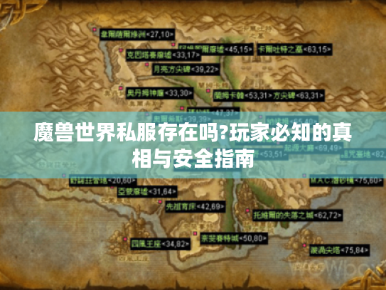 魔兽世界私服存在吗?玩家必知的真相与安全指南