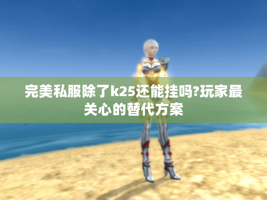 完美私服除了k25还能挂吗?玩家最关心的替代方案