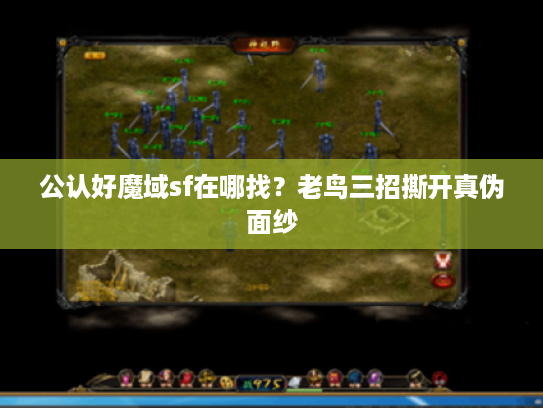 公认好魔域sf在哪找？老鸟三招撕开真伪面纱