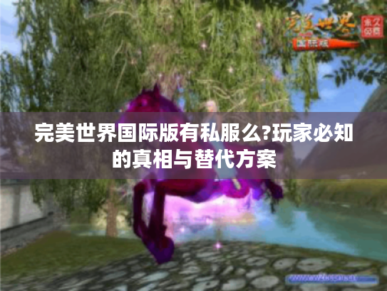 完美世界国际版有私服么?玩家必知的真相与替代方案
