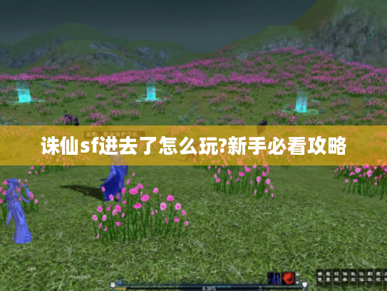 诛仙sf进去了怎么玩?新手必看攻略 诛仙sf进去了怎么玩?新手必看攻略