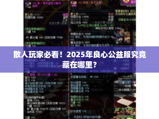 散人玩家必看！2025年良心公益服究竟藏在哪里？
