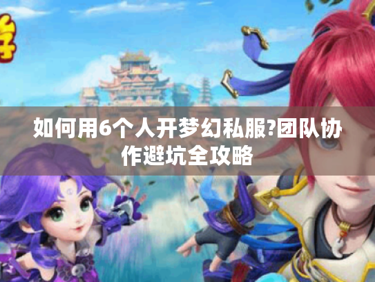 如何用6个人开梦幻私服?团队协作避坑全攻略