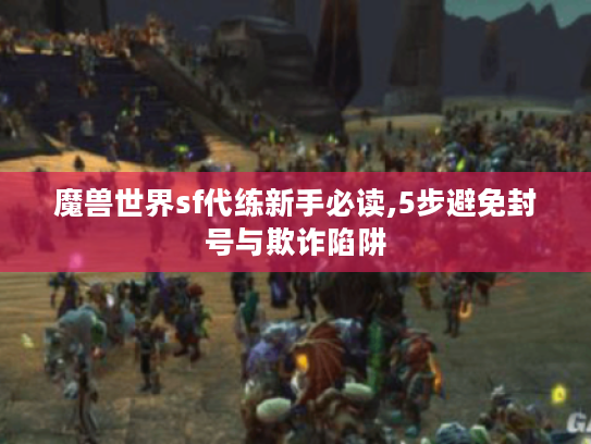 魔兽世界sf代练新手必读,5步避免封号与欺诈陷阱