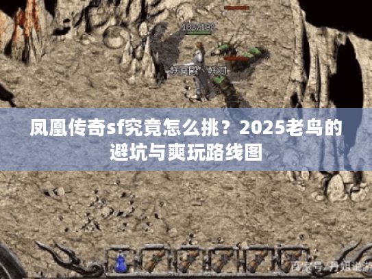 凤凰传奇sf究竟怎么挑？2025老鸟的避坑与爽玩路线图