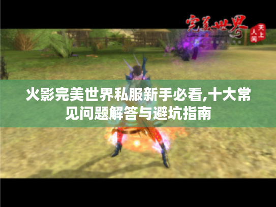火影完美世界私服新手必看,十大常见问题解答与避坑指南 火影完美世界私服新手必看,十大常见问题解答与避坑指南