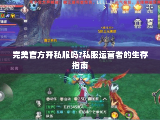 完美官方开私服吗?私服运营者的生存指南 完美官方开私服吗?私服运营者的生存指南