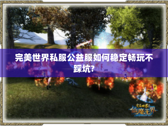 完美世界私服公益服如何稳定畅玩不踩坑?