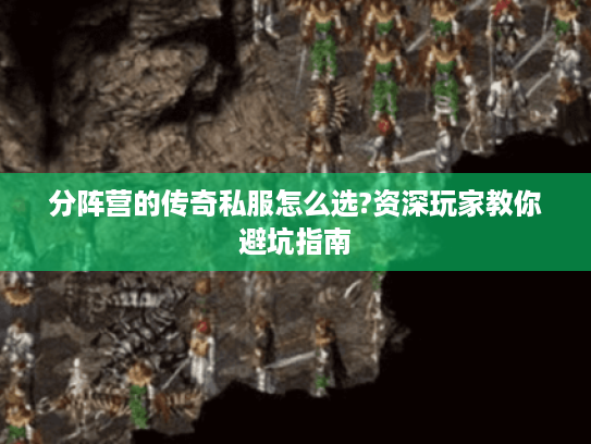 分阵营的传奇私服怎么选?资深玩家教你避坑指南