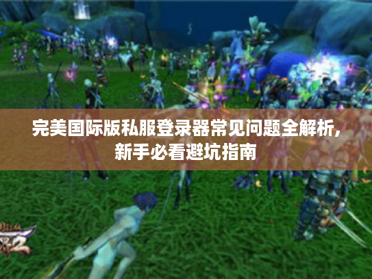 完美国际版私服登录器常见问题全解析,新手必看避坑指南