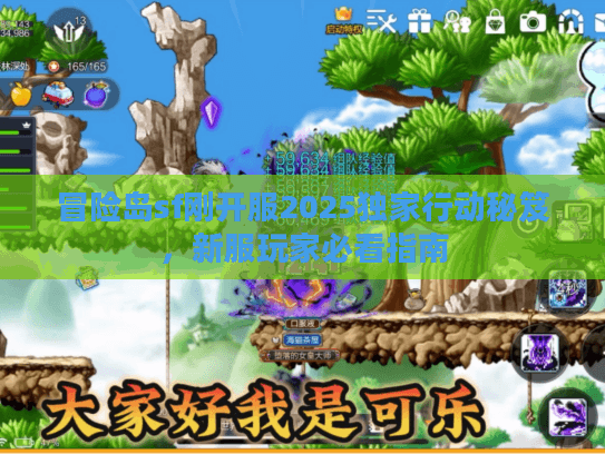 冒险岛sf刚开服2025独家行动秘笈，新服玩家必看指南