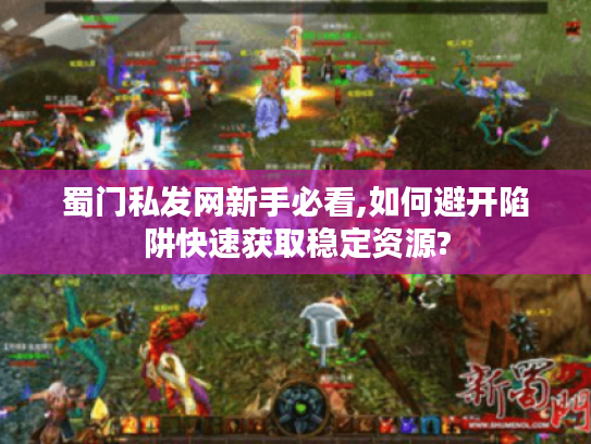 蜀门私发网新手必看,如何避开陷阱快速获取稳定资源?