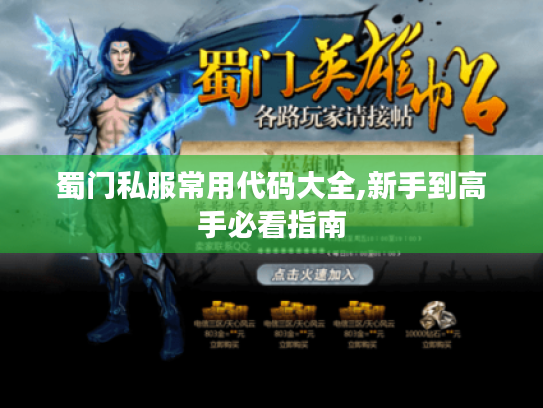 蜀门私服常用代码大全,新手到高手必看指南