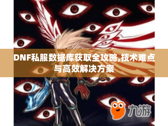DNF私服数据库获取全攻略,技术难点与高效解决方案
