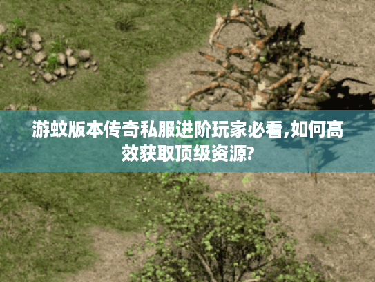 游蚊版本传奇私服进阶玩家必看,如何高效获取顶级资源?