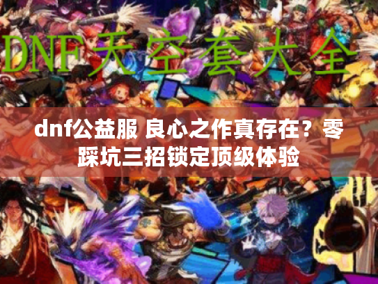 dnf公益服 良心之作真存在？零踩坑三招锁定顶级体验