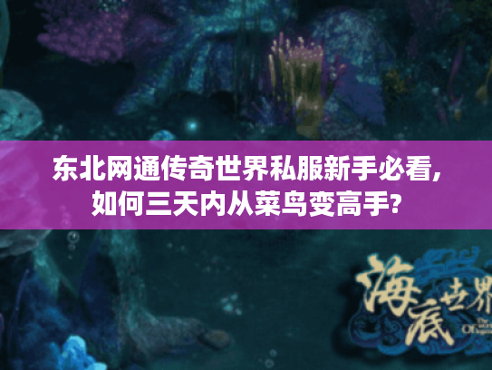 东北网通传奇世界私服新手必看,如何三天内从菜鸟变高手?