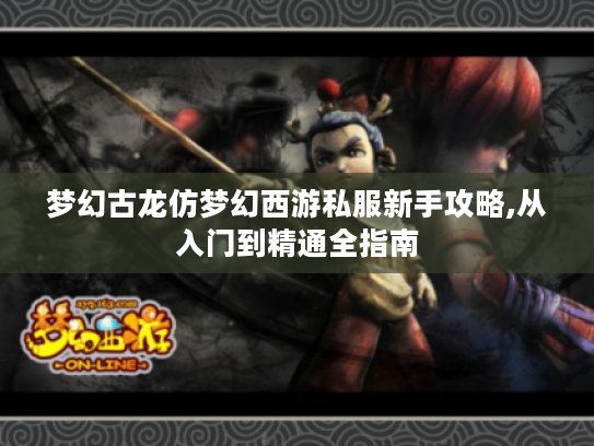 梦幻古龙仿梦幻西游私服新手攻略,从入门到精通全指南