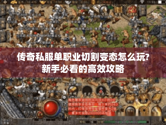 传奇私服单职业切割变态怎么玩?新手必看的高效攻略 传奇私服单职业切割变态怎么玩?新手必看的高效攻略