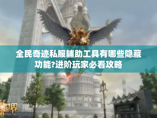全民奇迹私服辅助工具有哪些隐藏功能?进阶玩家必看攻略