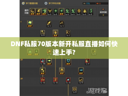 DNF私服70版本新开私服直播如何快速上手?