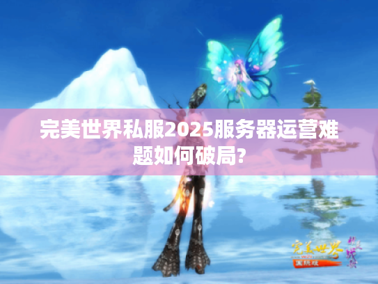 完美世界私服2025服务器运营难题如何破局?