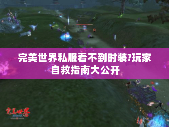 完美世界私服看不到时装?玩家自救指南大公开