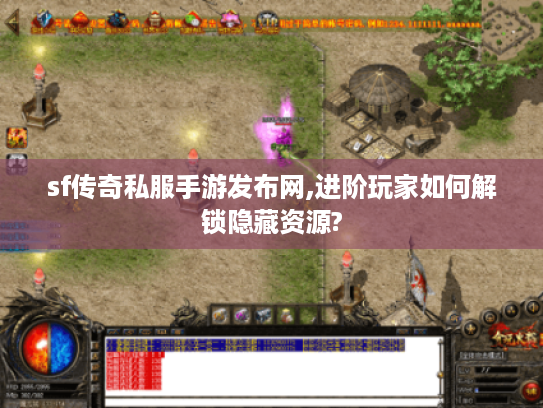 sf传奇私服手游发布网,进阶玩家如何解锁隐藏资源?