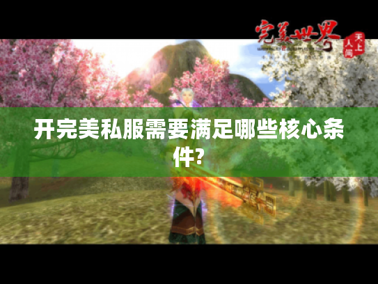 开完美私服需要满足哪些核心条件?