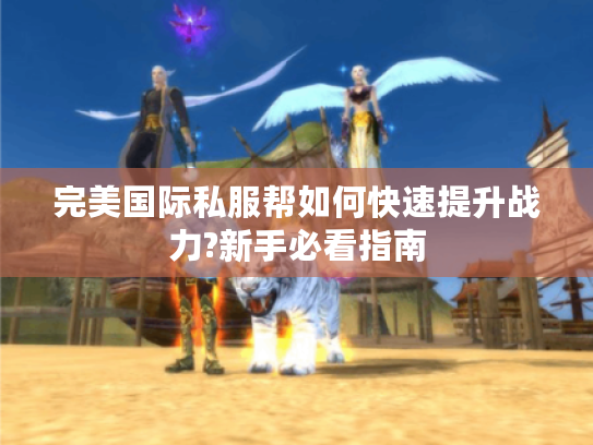 完美国际私服帮如何快速提升战力?新手必看指南