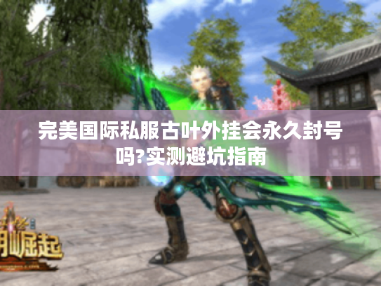 完美国际私服古叶外挂会永久封号吗?实测避坑指南