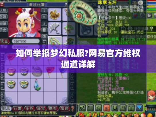 如何举报梦幻私服?网易官方维权通道详解