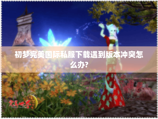 初梦完美国际私服下载遇到版本冲突怎么办?