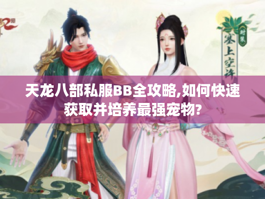 天龙八部私服BB全攻略,如何快速获取并培养最强宠物?