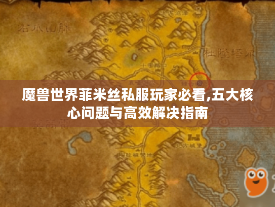魔兽世界菲米丝私服玩家必看,五大核心问题与高效解决指南