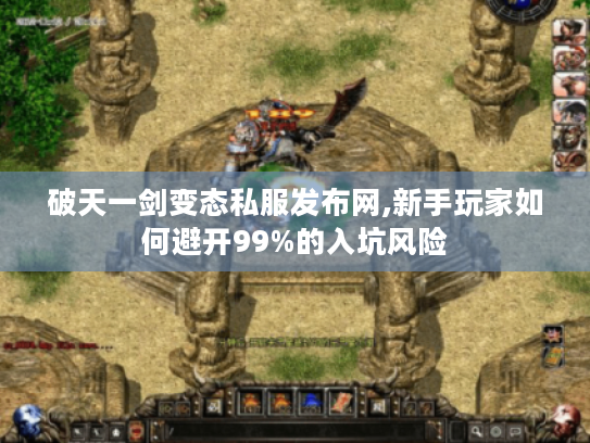 破天一剑变态私服发布网,新手玩家如何避开99%的入坑风险