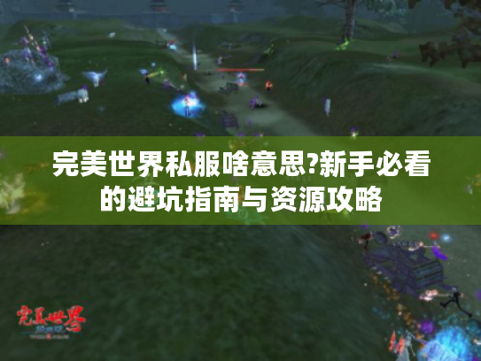 完美世界私服啥意思?新手必看的避坑指南与资源攻略