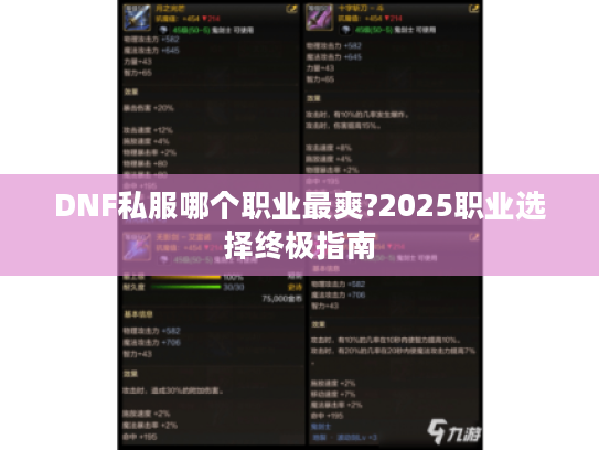 DNF私服哪个职业最爽?2025职业选择终极指南