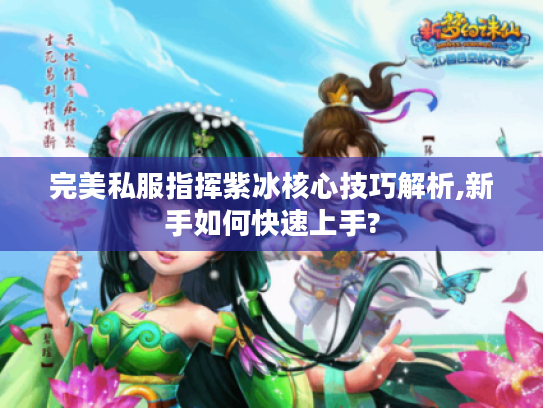 完美私服指挥紫冰核心技巧解析,新手如何快速上手?