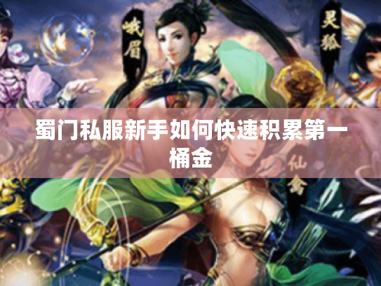 蜀门私服新手如何快速积累第一桶金